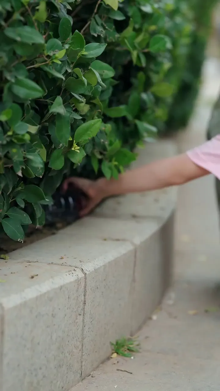 Episode 5 - สายลมแห่งรัก