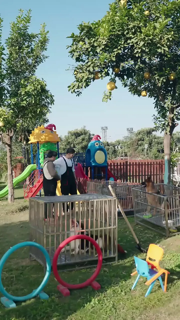 Episode 3 - Perros rabiosos