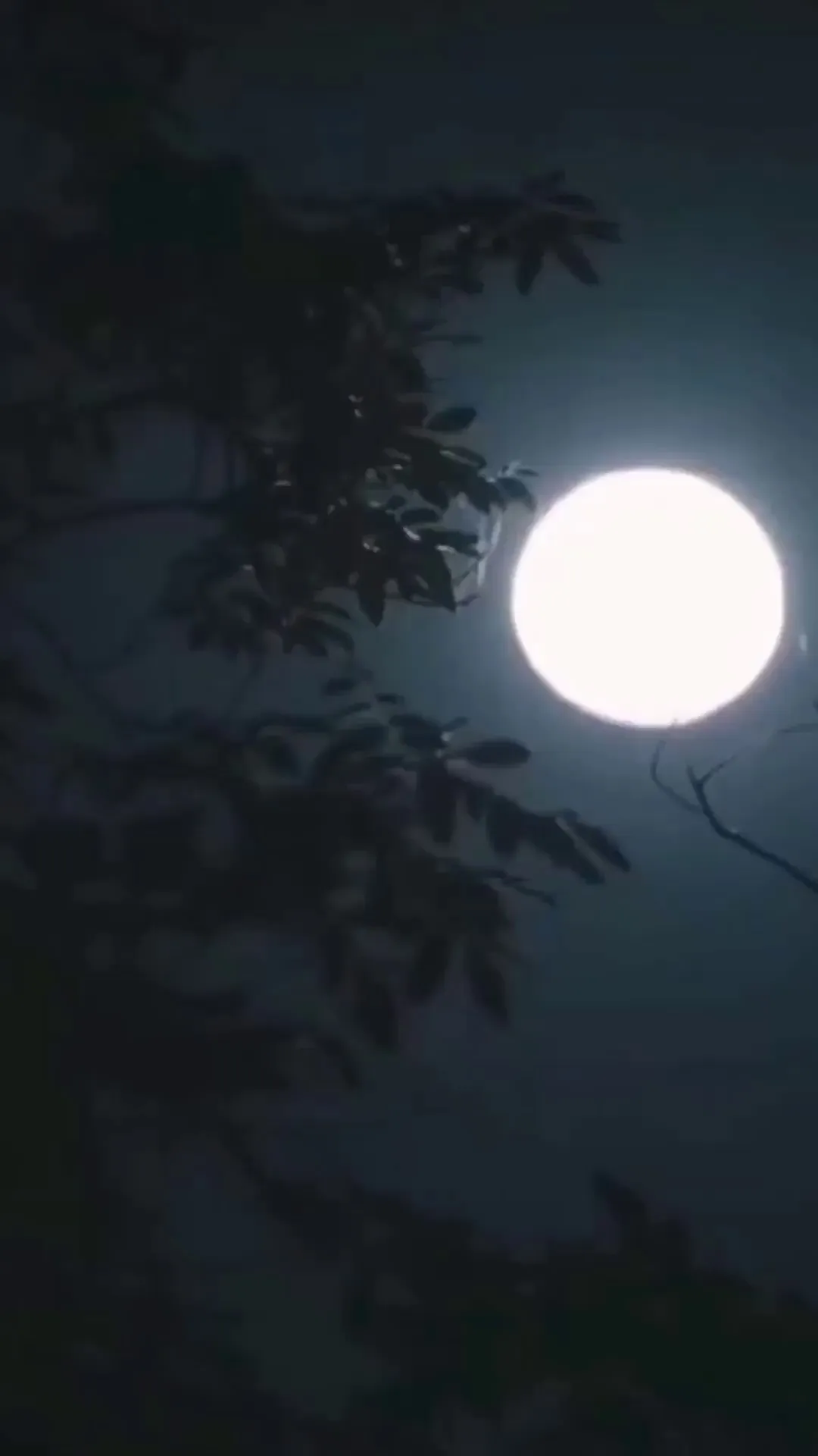 Episode 1 - เธอชื่อลลิน