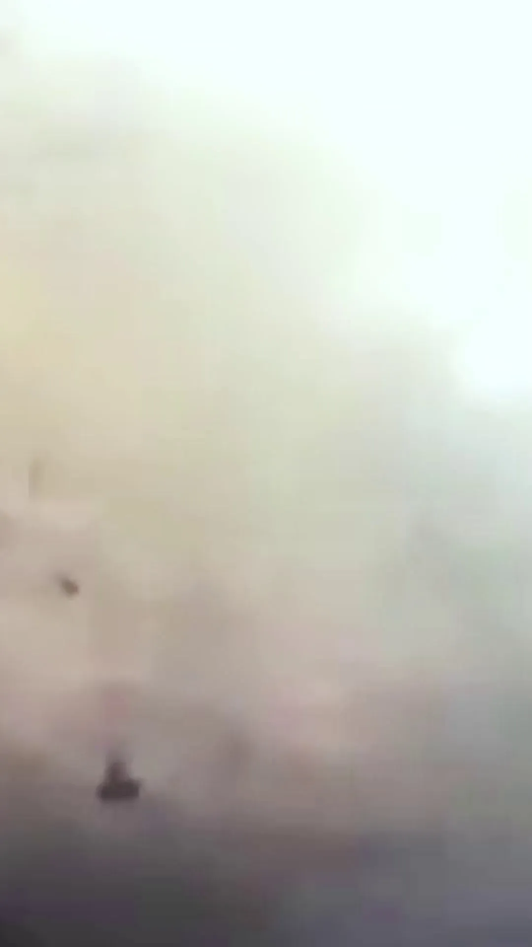 Episode 1 - Caer en la ternura