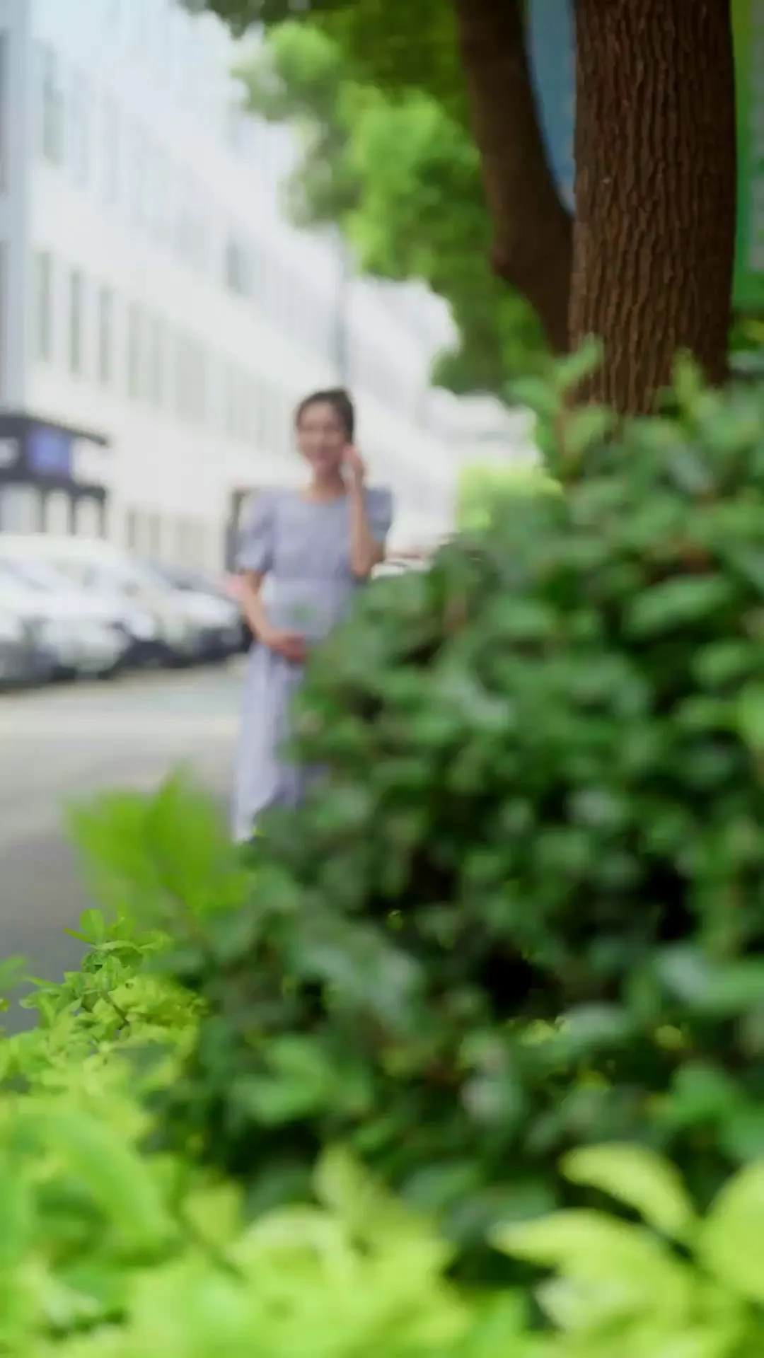 Episode 1 - The Second Marriage And Happiness