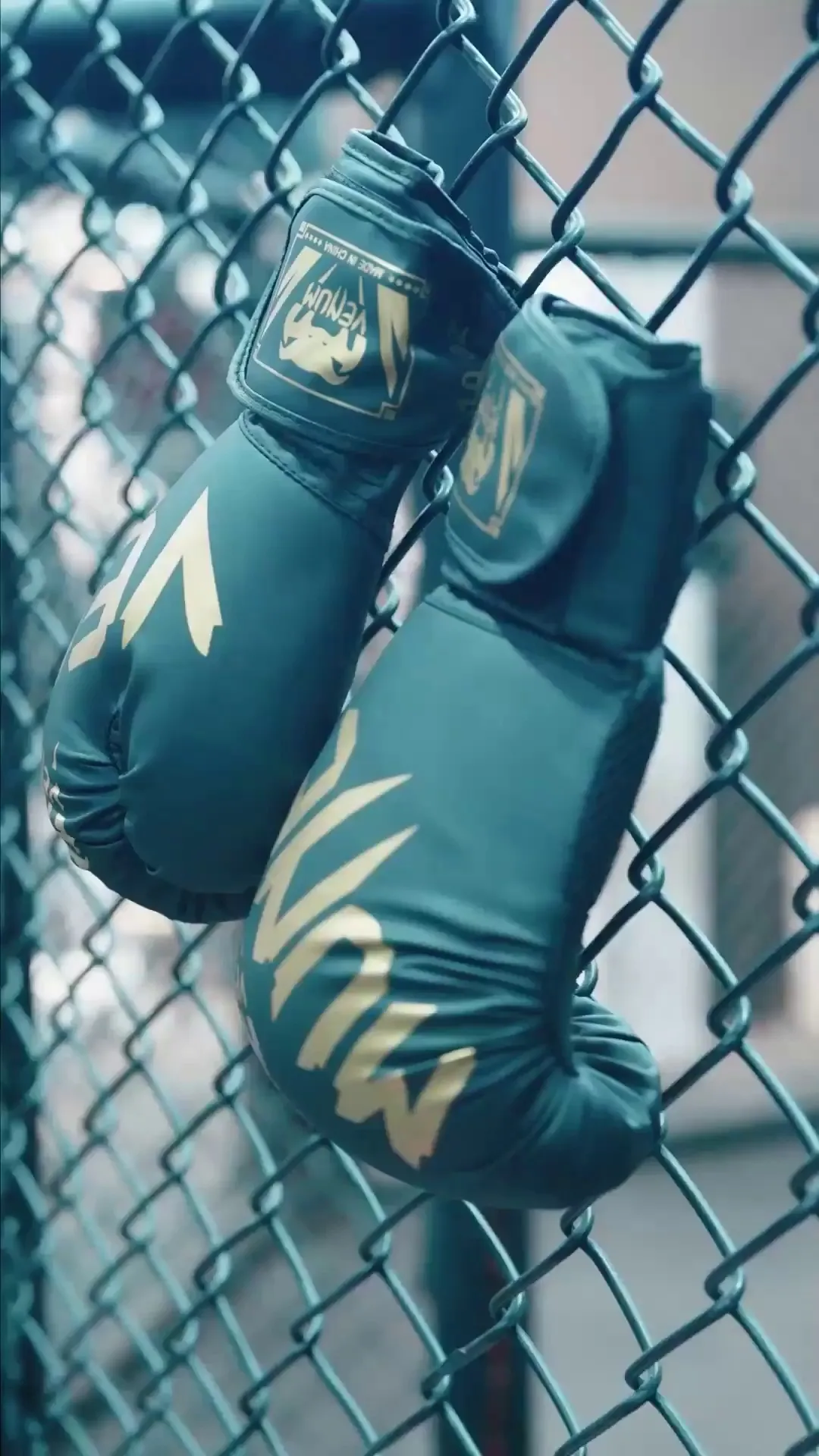 Episode 5 - Fists of the Heart