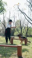 Episode 1 - 犬の言葉が分かる俺は最強だ